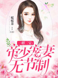 一婚两宝帝少宠妻无节制