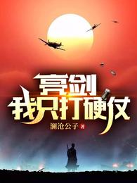 亮剑:我只打硬仗 澜沧公子